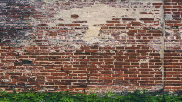 【介護職の壁】「燃え尽き症候群」かも？乗り越え方と新しい働き方の見つけ方